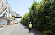 Bisai Plant2025