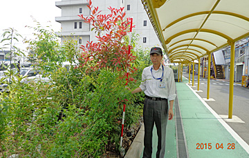 Haruhi Plant 2015