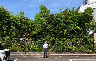 Haruhi Plant 2026