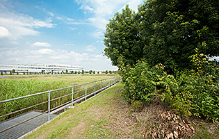 Heiwacho Plant 2011