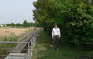 Heiwacho Plant 2015