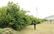 TOYODA GOSEI East Japan Co., Ltd.
