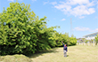 TOYODA GOSEI East Japan Co., Ltd.