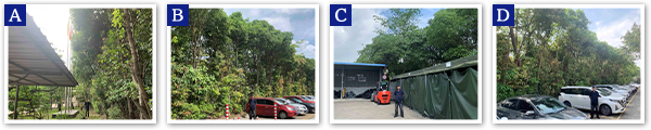 TGFR,TGFP/Foshan TGR, TGP (China)　2025