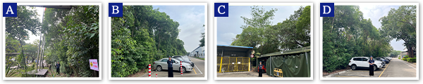 TGFR,TGFP/Foshan TGR, TGP (China)　2026