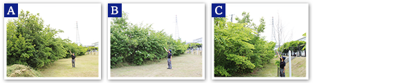 TG East Japan Co., Ltd. 2024