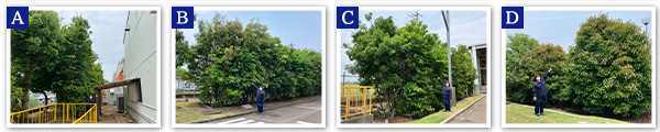 Nishimizoguchi Plant 2025
