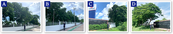 TGT (Thailand)　2024