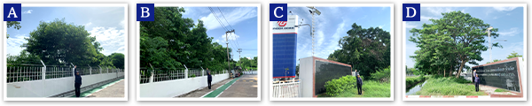 TGT (Thailand)　2025