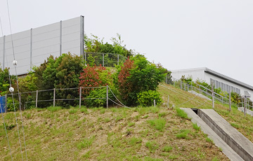 Miyoshi Distribution Center 2015