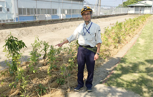 Nishimizoguchi Plant 2016
