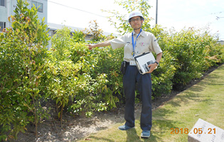 Nishimizoguchi Plant 2018