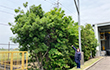 Nishimizoguchi Plant 2025
