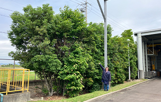 Nishimizoguchi Plant 2026