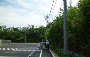 Seto Plant 2024