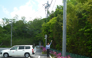 Seto Plant 2026