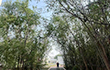 TJTG/Tianjin TG (China)2025