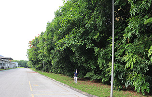 TGHP (Vietnam) 2024