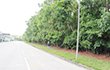 TGHP (Vietnam)2025