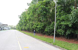 TGHP (Vietnam) 2025