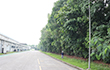 TGHP (Vietnam)2026