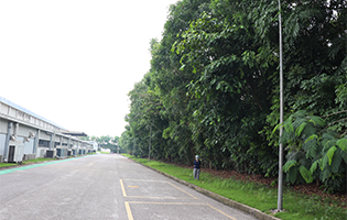 TGHP (Vietnam) 2026