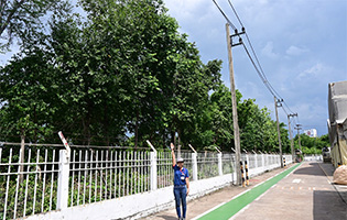 TGT (Thailand) 2022