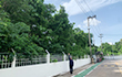 TGT (Thailand)2025