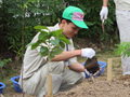 TGHP (Vietnam) Additional tree-planting