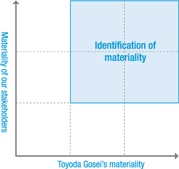 Materiality Identification Process