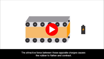 Actuator (motive power source)