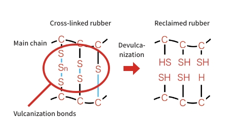 What is devulcanization?