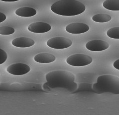 Toyoda Gosei Develops Urethane Microfoam Film   to Cultivate Cells for Drug Discovery