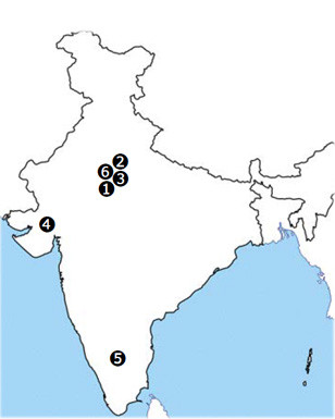 Business network in India