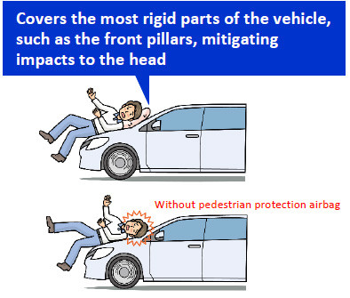 Covers the most rigid parts of the vehicle, such as the front pillars, mitigating impacts to the head