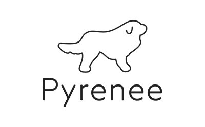 Toyoda Gosei Invests in Pyrenee Inc., a Start-up Developing Safe Driving Assist Devices
