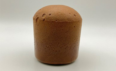 Toyoda Gosei Develops Glycol Lignin Plastic Using Wood Biomaterial 