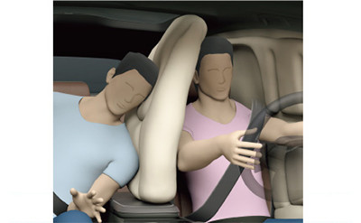 Toyoda Gosei Presents Findings with Simulation Technology at International Symposium on Integral Car Safety Systems