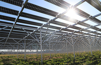 Agritree solar power generation system that uses farmland